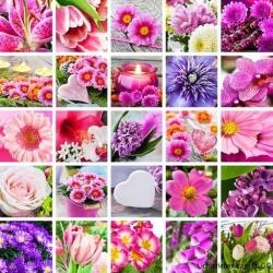 Farbstimmung Blumen