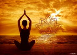 Wandbild Lotus OM Meditatiom