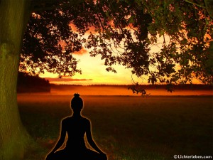 Yogi_meditiert_unter_Bodhi_Baum_1280x1042px