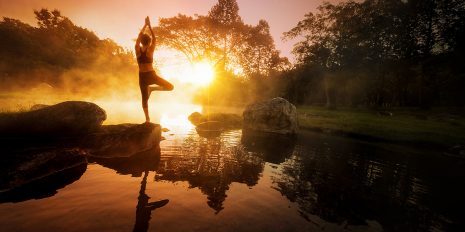 B.K.S.Iyengar Yogaspruch Glücklich Wohnen