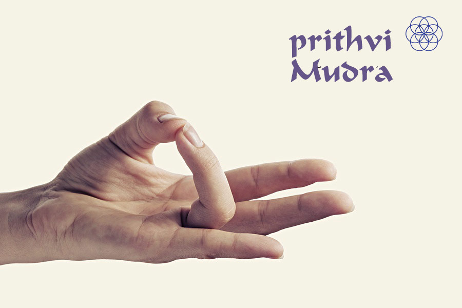 Prithry Mudra